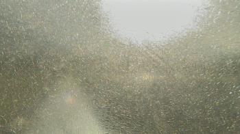 Live Camera from Santa Fe HS, Alachua, FL