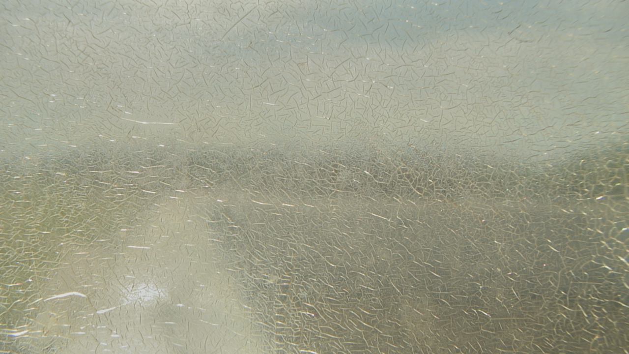 Live Camera from Santa Fe HS, Alachua, FL 32615