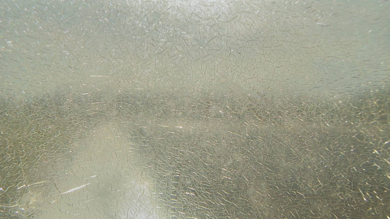 Live Camera from Santa Fe HS, Alachua, FL 32615