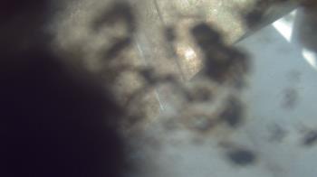Live Camera from a random camera within the United States