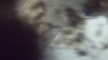 Live Camera from a random camera within the United States