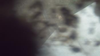 Live Camera from a random camera within the United States