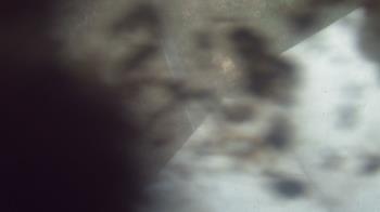 Live Camera from a random camera within the United States