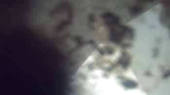 Live Camera from a random camera within the United States
