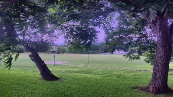 Live Camera from Camp Verde Ranch, Camp Verde, TX