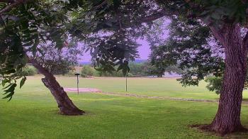Live Camera from Camp Verde Ranch, Camp Verde, TX