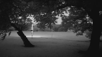 Live Camera from Camp Verde Ranch, Camp Verde, TX