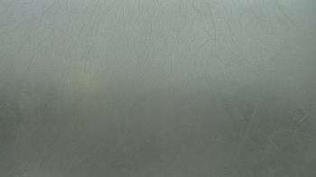 Live Camera from a random camera within the United States