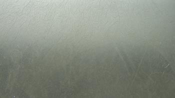 Live Camera from F L Templeton Preparatory Academy, Baltimore, MD