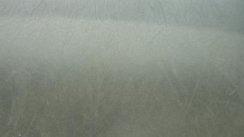 Live Camera from a random camera within the United States