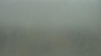 Live Camera from a random camera within the United States