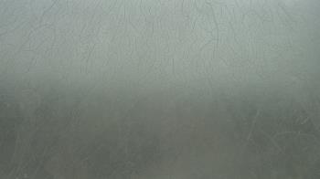 Live Camera from a random camera within the United States