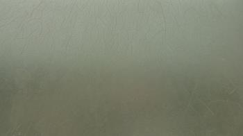 Live Camera from a random camera within the United States