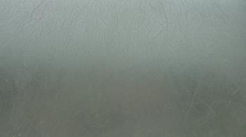 Live Camera from a random camera within the United States