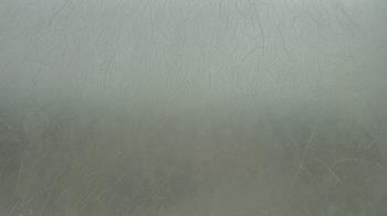 Live Camera from a random camera within the United States