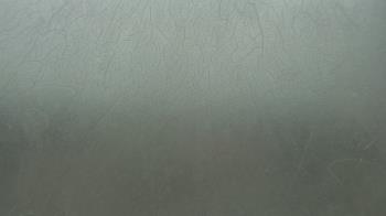 Live Camera from a random camera within the United States