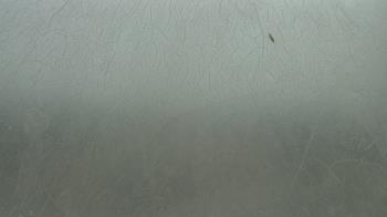 Live Camera from a random camera within the United States