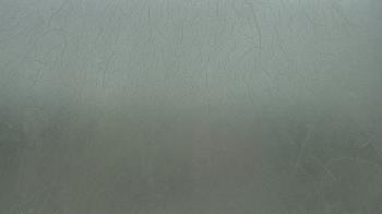 Live Camera from a random camera within the United States