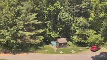 Live Camera from John Dorr Nature Lab-Horace Mann School, Washington, CT