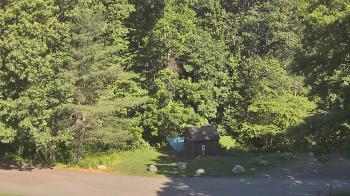 Live Camera from John Dorr Nature Lab-Horace Mann School, Washington, CT