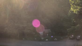 Live Camera from John Dorr Nature Lab-Horace Mann School, Washington, CT