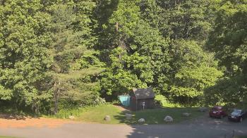 Live Camera from John Dorr Nature Lab-Horace Mann School, Washington, CT