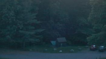 Live Camera from John Dorr Nature Lab-Horace Mann School, Washington, CT