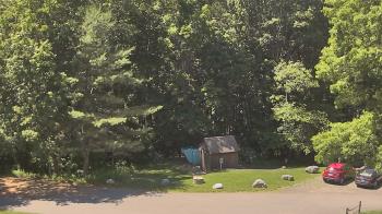 Live Camera from John Dorr Nature Lab-Horace Mann School, Washington, CT