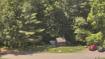 Live Camera from John Dorr Nature Lab-Horace Mann School, Washington, CT
