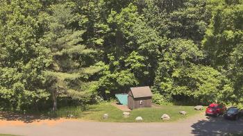 Live Camera from John Dorr Nature Lab-Horace Mann School, Washington, CT