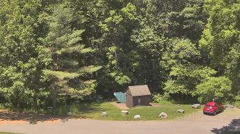 Live Camera from John Dorr Nature Lab-Horace Mann School, Washington, CT