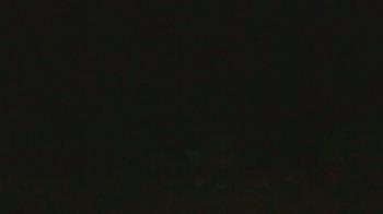 Live Camera from John Dorr Nature Lab-Horace Mann School, Washington, CT
