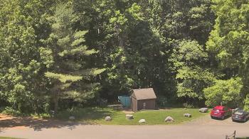Live Camera from John Dorr Nature Lab-Horace Mann School, Washington, CT