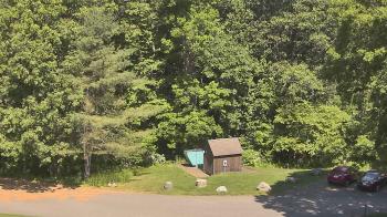 Live Camera from John Dorr Nature Lab-Horace Mann School, Washington, CT