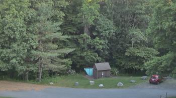 Live Camera from John Dorr Nature Lab-Horace Mann School, Washington, CT 06793