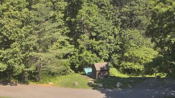 Live Camera from John Dorr Nature Lab-Horace Mann School, Washington, CT