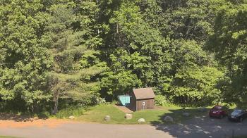 Live Camera from John Dorr Nature Lab-Horace Mann School, Washington, CT