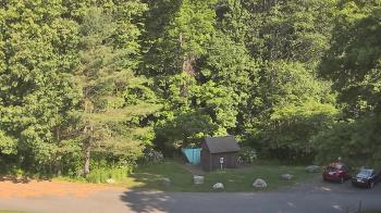 Live Camera from John Dorr Nature Lab-Horace Mann School, Washington, CT