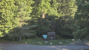 Live Camera from John Dorr Nature Lab-Horace Mann School, Washington, CT