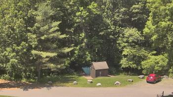 Live Camera from John Dorr Nature Lab-Horace Mann School, Washington, CT