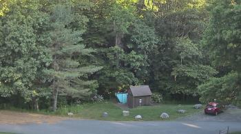 Live Camera from John Dorr Nature Lab-Horace Mann School, Washington, CT