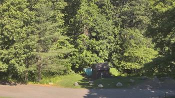 Live Camera from John Dorr Nature Lab-Horace Mann School, Washington, CT
