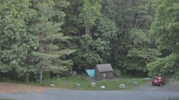Live Camera from John Dorr Nature Lab-Horace Mann School, Washington, CT