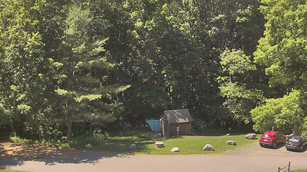 Live Camera from John Dorr Nature Lab-Horace Mann School, Washington, CT 06793