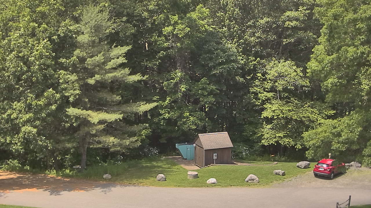 Live Camera from John Dorr Nature Lab-Horace Mann School, Washington, CT 06793