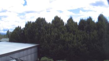 Live Camera from a random camera within the United States