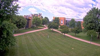 Misericordia University