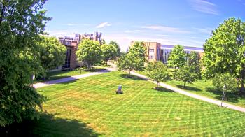 Live Camera from Misericordia University, Dallas, PA