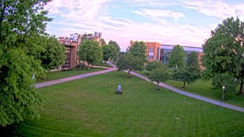 Misericordia University