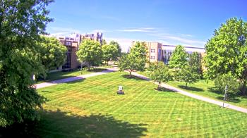 Live Camera from Misericordia University, Dallas, PA